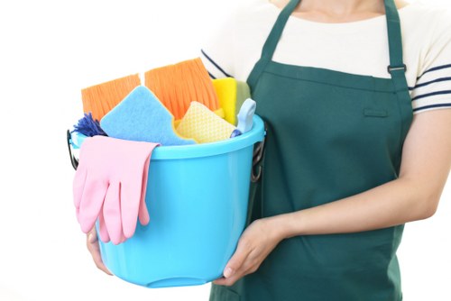 Tower Hill Carpet Cleaners introduction with professional carpet care focus
