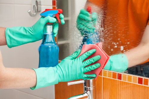Deep carpet cleaning equipment in Tower Hill property