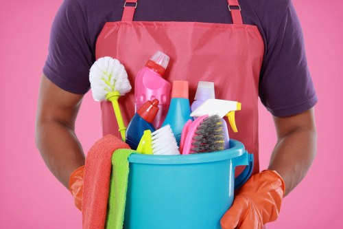 Professional upholstery cleaning in a Tower Hill living room