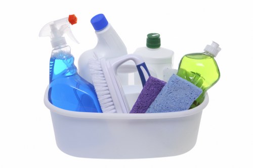 Team member following health and safety rules while cleaning carpets