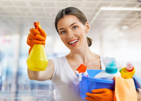 Professional pet stain odour treatment process in a Tower Hill property