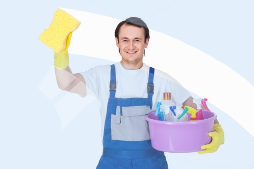 Tower Hill carpet cleaners deep cleaning a residential carpet