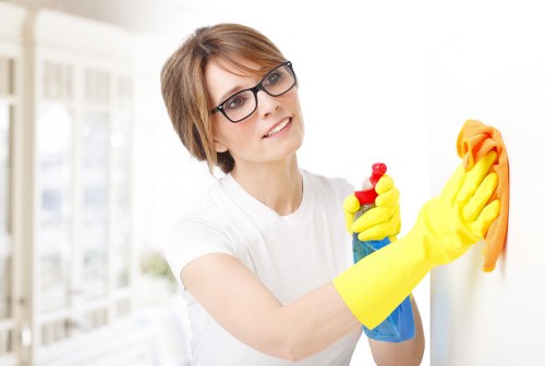 Home and business carpet cleaning service in Tower Hill