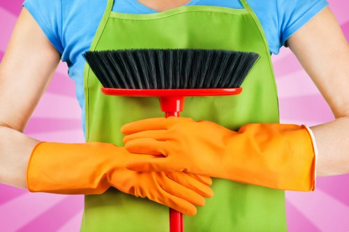 Professional steam carpet cleaning in Tower Hill for a fresher carpet