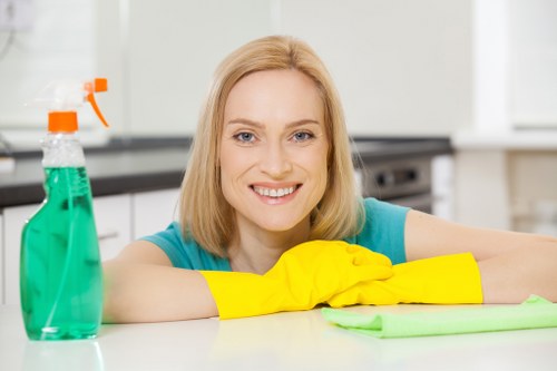 Tower Hill Carpet Cleaners safety-focused service process