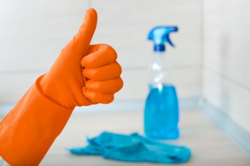 Common household stains treated in Tower Hill