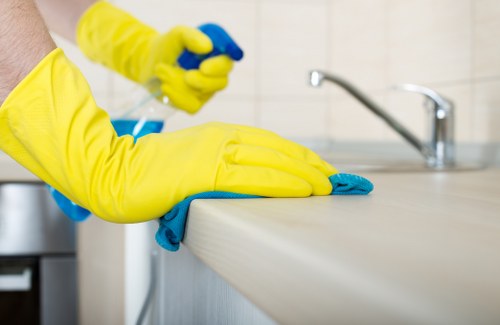 Accessibility request guidance section for Tower Hill carpet cleaners