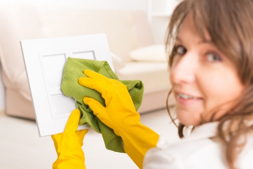 Eco-friendly carpet cleaning service in Tower Hill
